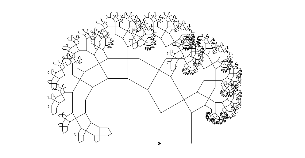 Baum des Pythagoras, unbelaubt